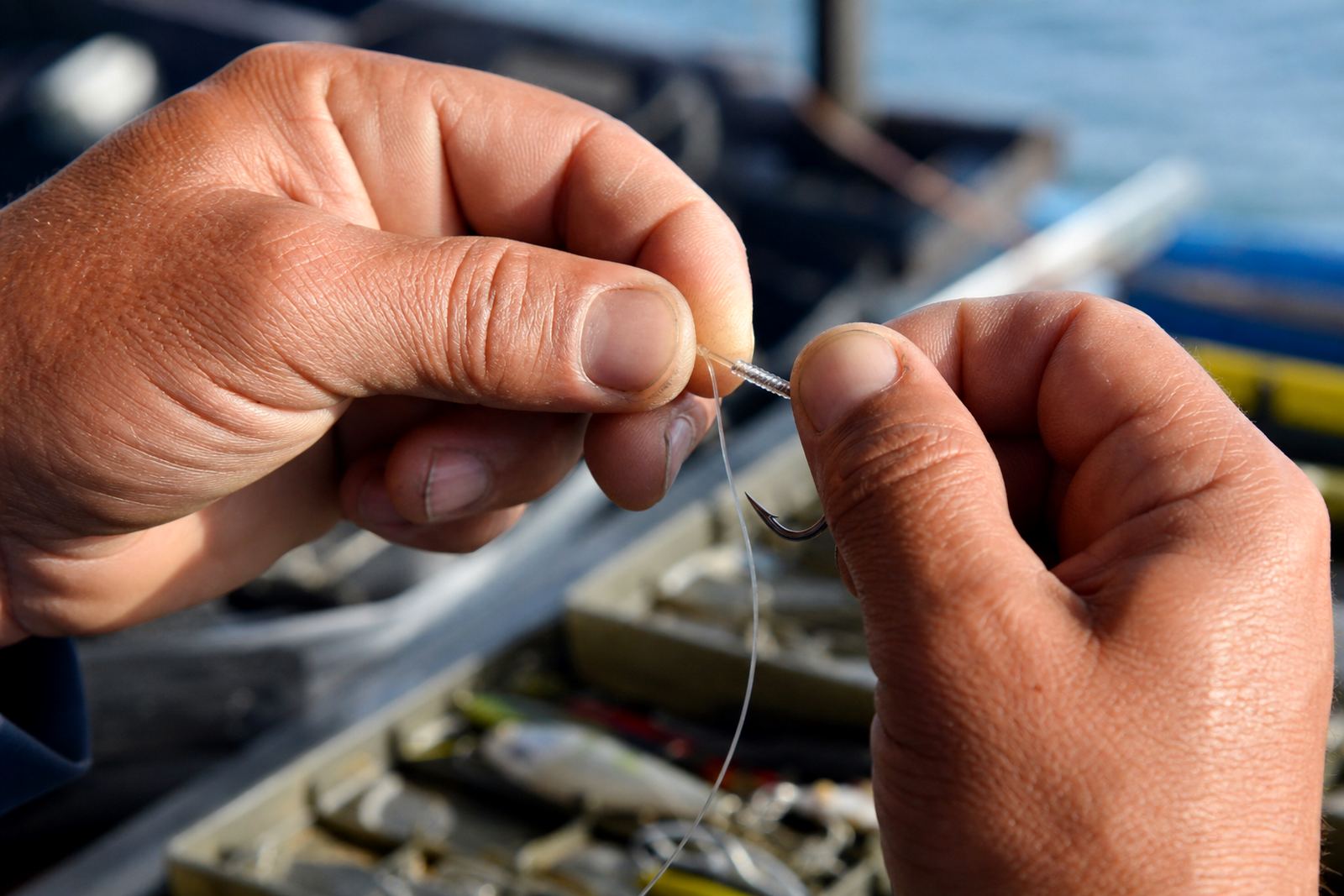 Choosing Bait Knots