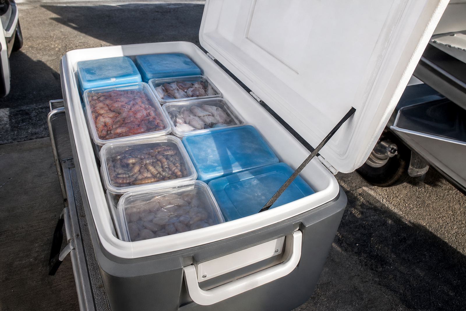 Storing Bait Properly